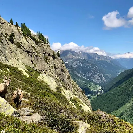 Viachamonix I Confort & Nature, Skis Aux Pieds