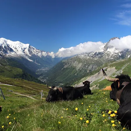 Viachamonix I Confort & Nature, Skis Aux Pieds Apartment Vallorcine
